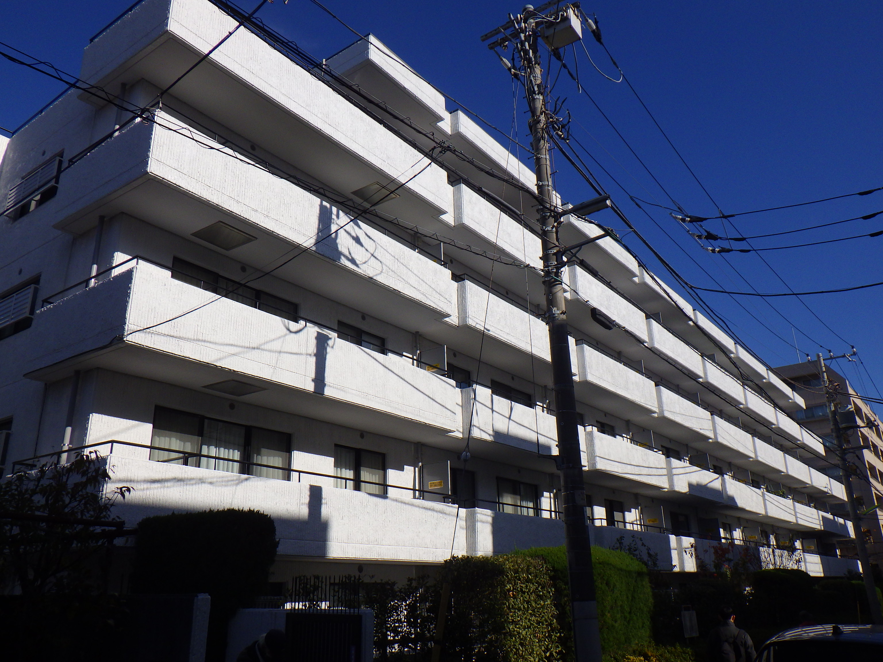 コートハウス桜新町
